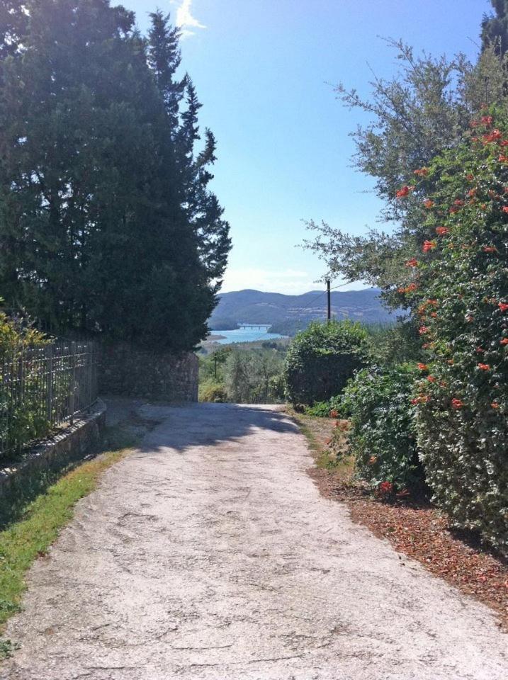 Agriturismo Il Palazzaccio