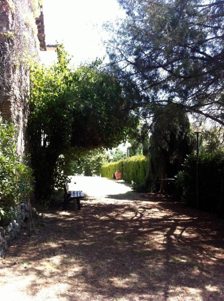 Farm stay Agriturismo Il Palazzaccio *
