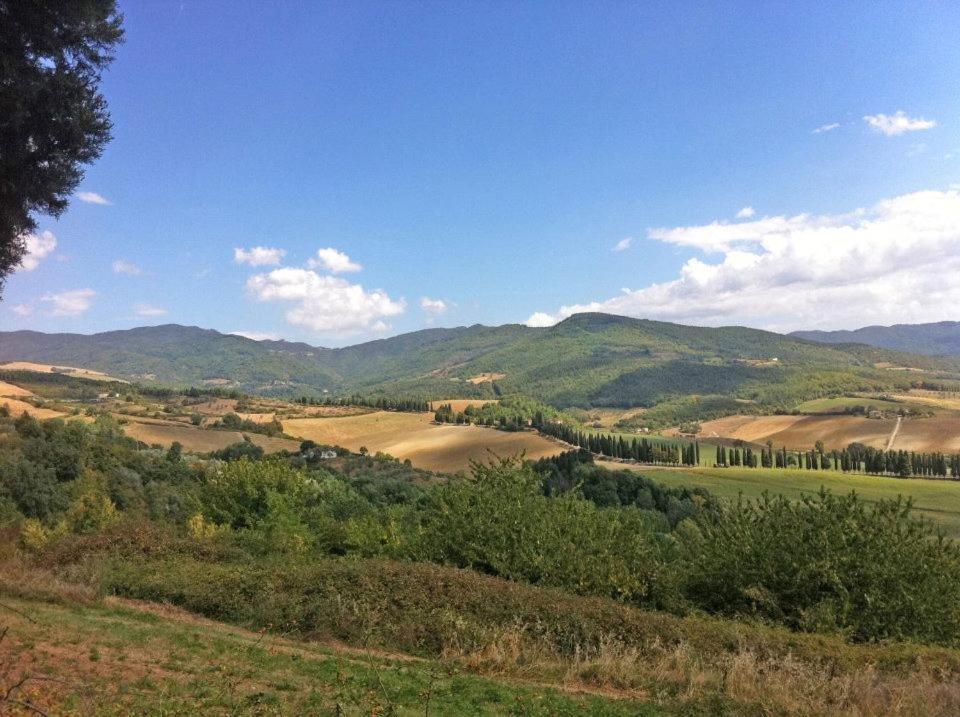 Farm stay Agriturismo Il Palazzaccio *