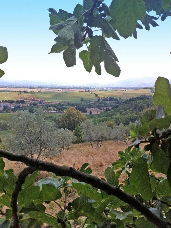 Agriturismo Il Palazzaccio * Galliano