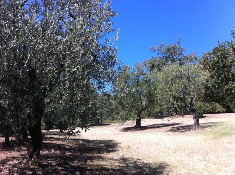 Farm stay Agriturismo Il Palazzaccio *