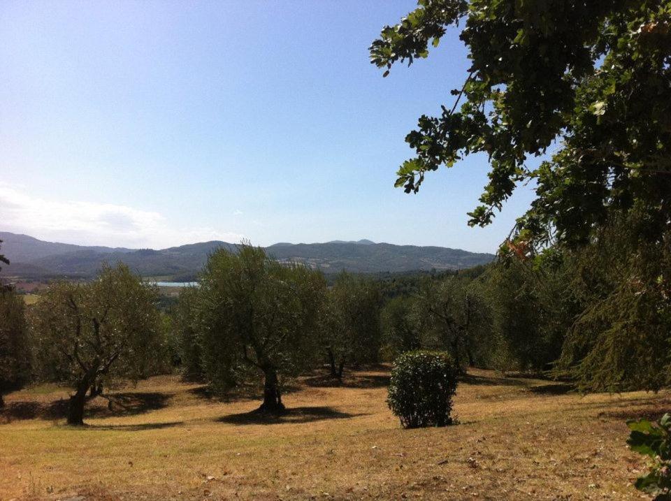Agriturismo Il Palazzaccio Galliano