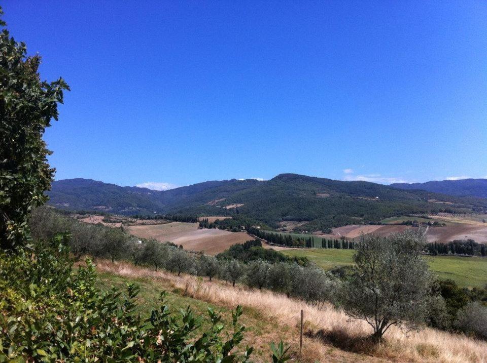 Agriturismo Il Palazzaccio Farm stay